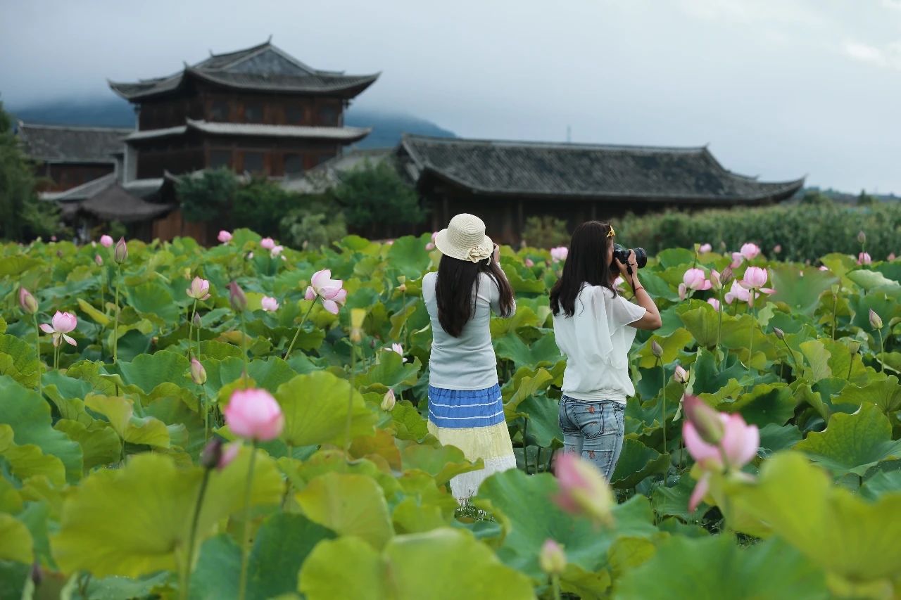 這個(gè)暑假云南昆明夏令營活動(dòng)打造你的專屬成長計(jì)劃！