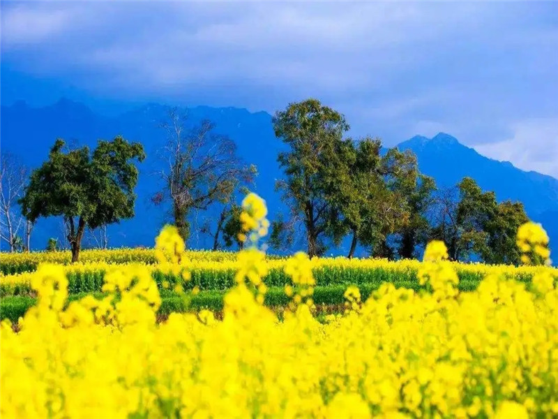 中國(guó)騰沖秘境之旅：飛瀑如花濺，溫泉洗纖塵，騎馬古道--美麗的溫泉圣地櫻花谷游記一篇