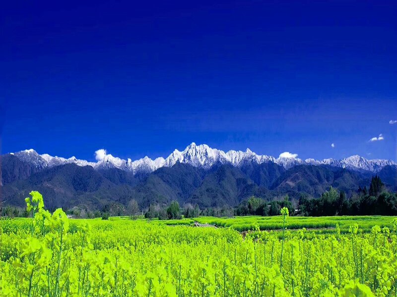 云南一年四季任何時間都可以游玩的地方有哪些？