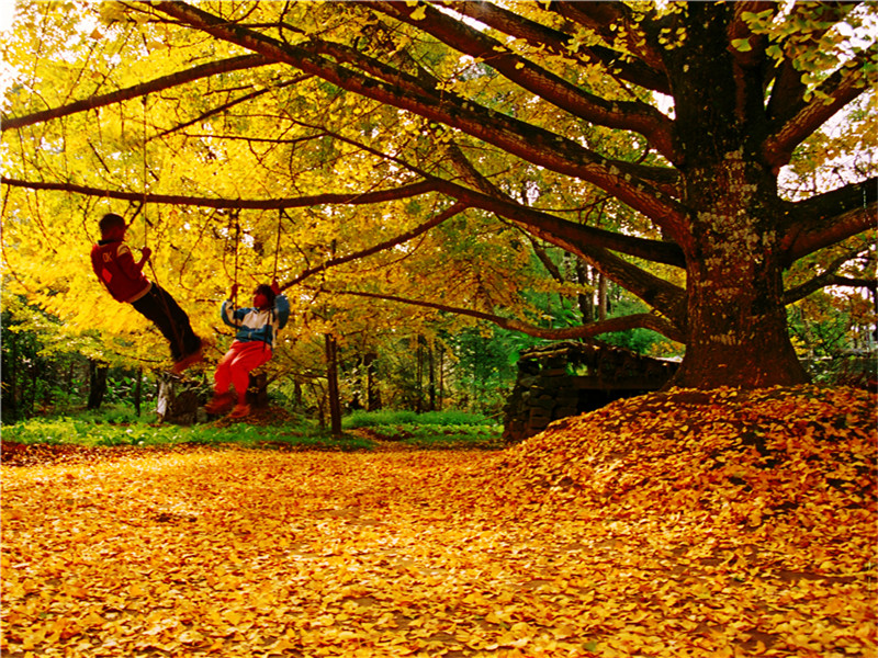 你知道到云南旅游有哪些事情可以做嗎？有沒有好的推薦？