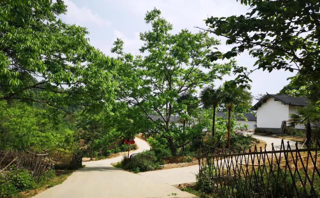 云南鄉(xiāng)村旅游，“玩”出特色！德宏：打好發(fā)展組合拳