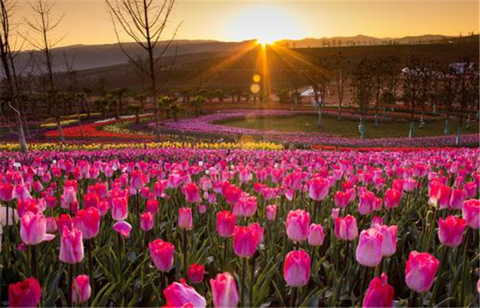 中國旅游日將至，快來太平湖森林小鎮(zhèn)感受云南紅河旅游花樣時(shí)光