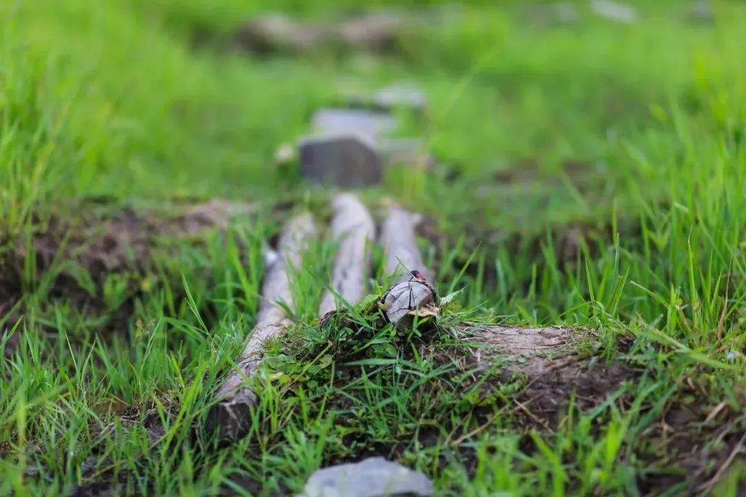 兒童節(jié)、周末帶娃最強(qiáng)玩法出爐！這4大體驗(yàn)，孩子玩得開(kāi)心又長(zhǎng)知識(shí)