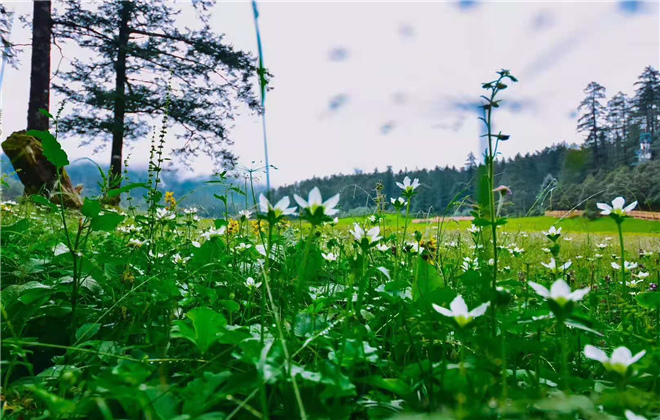 旅游康養(yǎng)要順利發(fā)展需要哪些要素加以支撐呢？