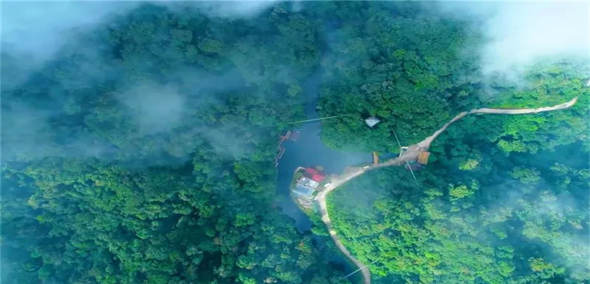 紅河屏邊 ，天然氧吧  ，動植物基因庫  ，到這里，呼吸綠色！