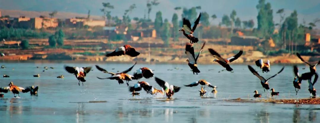 都說建水美，但這種美你卻不一定見過！