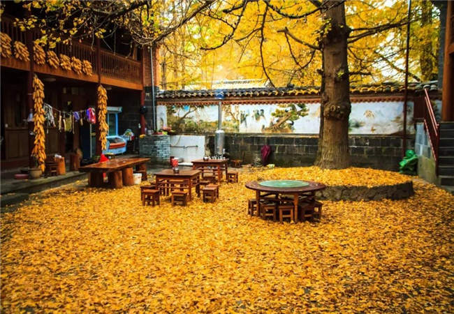 救命！云南騰沖的秋天勾走了我的“魂”~