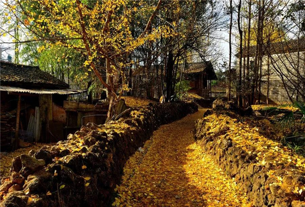 云南傳媒公司：一定要在秋天去一次云南！