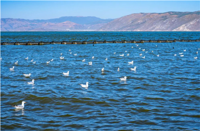 大理有一種浪漫的生活，曬太陽、泡溫泉、品美食……在大理，給你治愈一整個(gè)冬天！