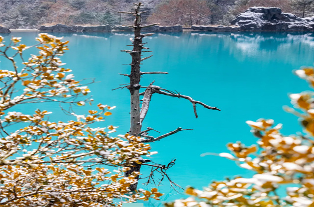 冬雪，美在玉龍雪山