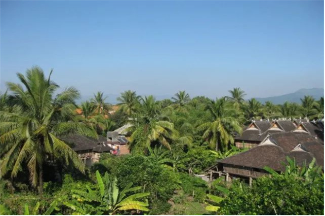 美麗的西雙版納永遠(yuǎn)都是“象”往的地方！