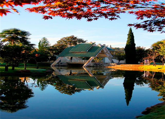 神奇壯觀的云南第一洞：瀘西阿廬古洞