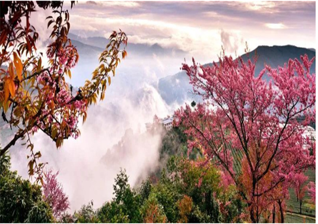 【聚焦旅交會(huì) 相約游大理】來南澗，在彝鄉(xiāng)體驗(yàn)自然之謎與民族之美