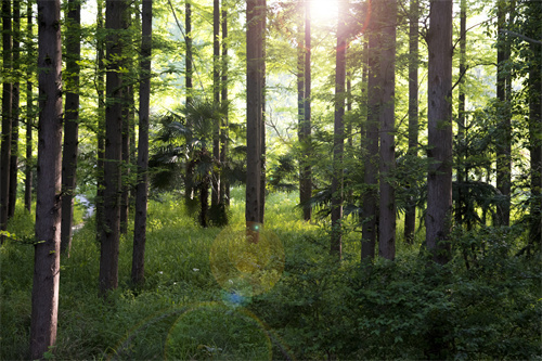 云南拓展訓(xùn)練怎樣才能順利的進(jìn)行呢？