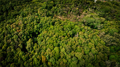 游云南！滇中·云境探秘之旅