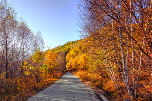 云南旅行經(jīng)典路線攻略！穿越古今，品味古滇悠久歷史文化