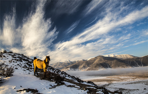 云南旅行社為您準(zhǔn)備的云南自助游攻略真的不看看嗎？
