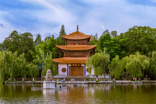 春暖四時(shí)，花開(kāi)昆明，感受春城初春之美！