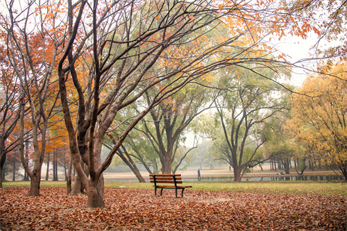 高光開遠(yuǎn) 一眼萬年鳳凰樓
