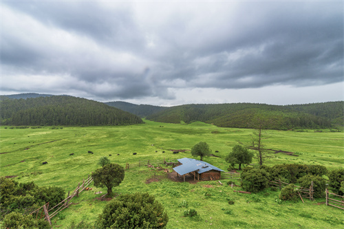 云南美食十大黑名單，你耐得住幾個(gè)？