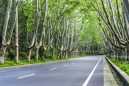 去曲靖這些網(wǎng)紅小眾景點打卡，人少不擠，還分分鐘驚艷你的朋友圈