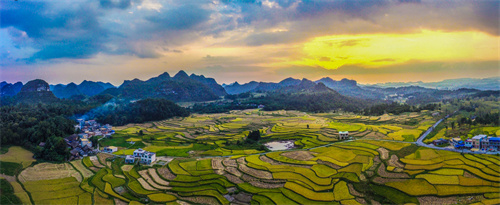  菌香時節(jié)到南華，吃菌、采菌、游玩輕松搞定！線路二