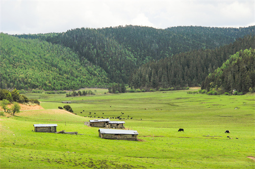 探尋云南紅色文物，回溯百年崢嶸記憶