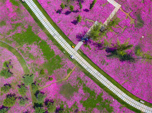 云南旅行 | 彌勒，未來可期的好玩之地