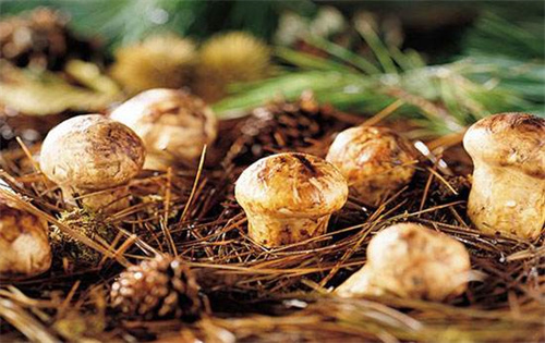 暢游云南，這12條經(jīng)典路線不能錯過！—— 天地萬象，領(lǐng)略大自然的鬼斧神工