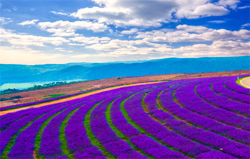 從麗江到香格里拉，發(fā)現(xiàn)一個不一樣的云南