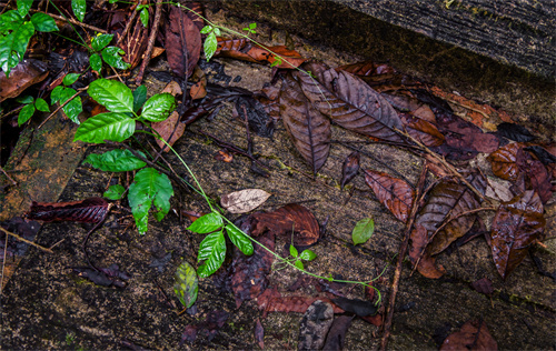 如何為孩子選擇一個(gè)最適合的暑期夏令營主題