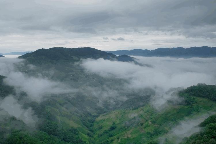 云南旅游、云南定制旅游、云南策劃公司：綠野仙蹤，生態(tài)之旅