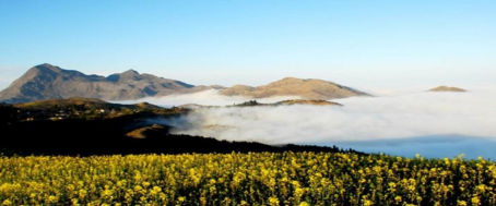 云南公司團(tuán)隊(duì)活動(dòng)策劃,云南公司策劃活動(dòng),曲靖旅行社:大美羅平，你值得游玩！