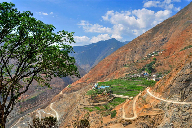 云南旅游,云南旅行社,云南團(tuán)建公司,云南會(huì)議公司,大理旅游,大理旅行社,大理團(tuán)建公司,大理會(huì)議公司：云南第一棵咖啡樹，在哪？