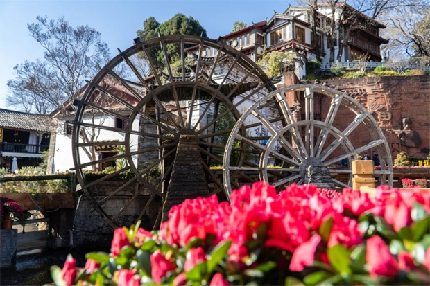 云南旅游,云南旅行社,云南團(tuán)建公司,云南策劃公司,云南會(huì)議會(huì)展,麗江旅游,麗江旅行社,麗江團(tuán)建公司,麗江策劃公司,麗江會(huì)議會(huì)展：來(lái)麗江 過(guò)大年︱馬年繁花盛宴已上線！