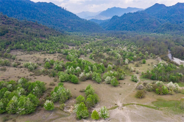 騰沖旅游：世界花園·騰沖之旅丨奔赴騰沖大竹壩，赴一場(chǎng)踏青之約
